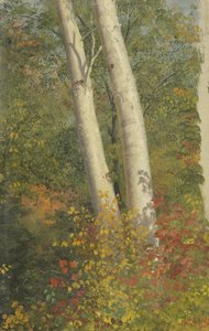 秋の白irの木 作： Frederic Edwin Church